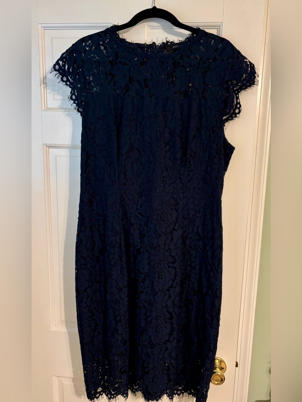 Navy Lace Cap-Sleeve Sheath Dress